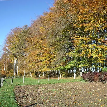 Les Hirondelles Plombieres-les-Bains