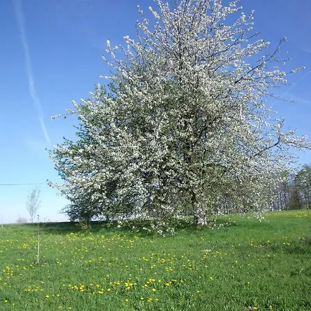 Holiday home Les Hirondelles *