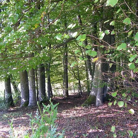 Les Hirondelles *