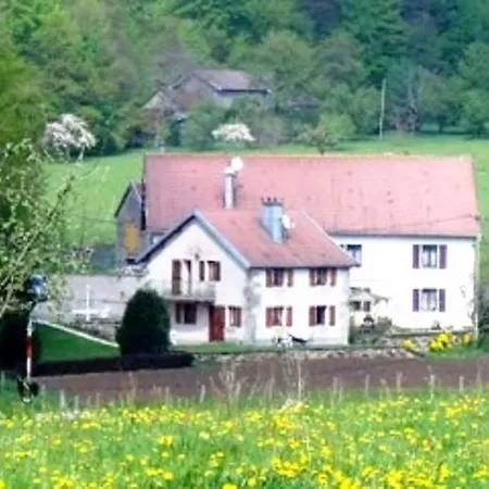 Les Hirondelles Holiday home Plombieres-les-Bains