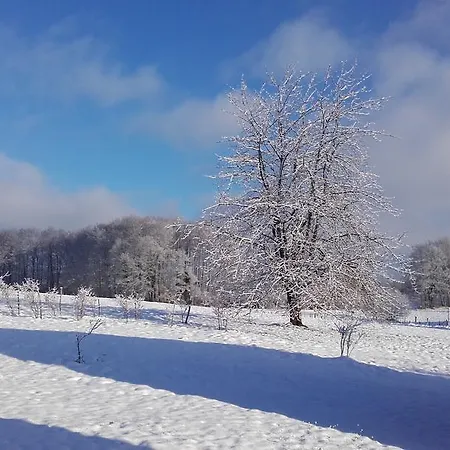 Les Hirondelles Nyaraló