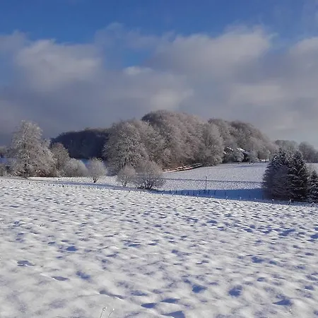 Les Hirondelles Plombières-les-Bains