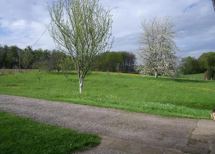 Prázdninový dům Les Hirondelles *