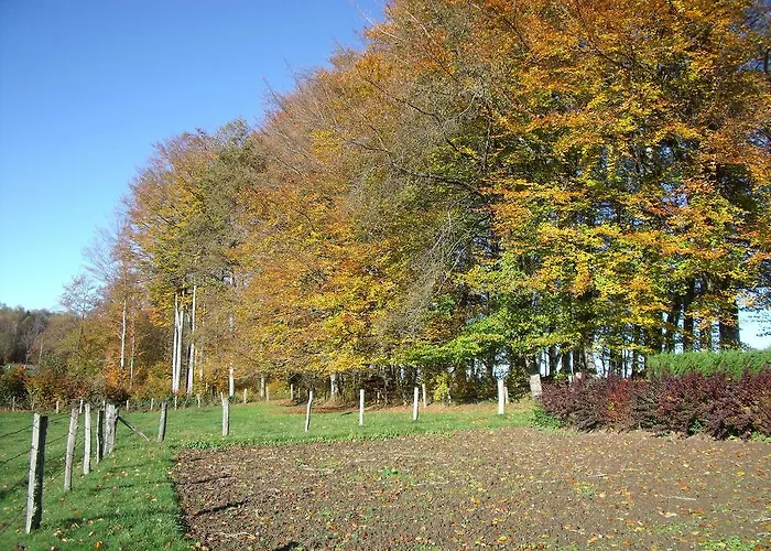 Les Hirondelles Plombières-les-Bains