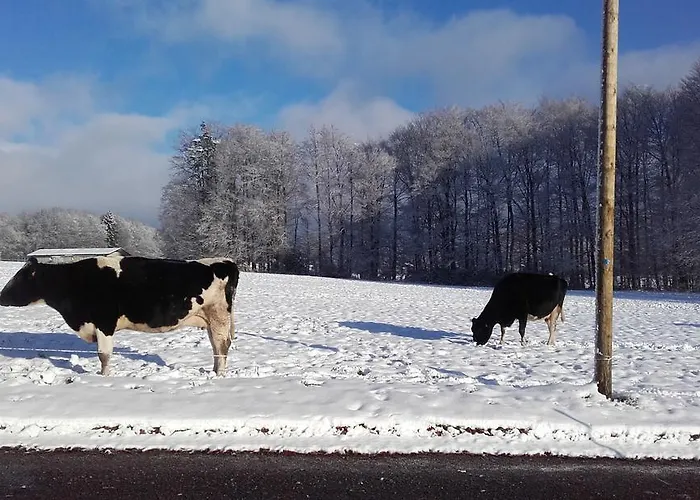 Prázdninový dům Les Hirondelles