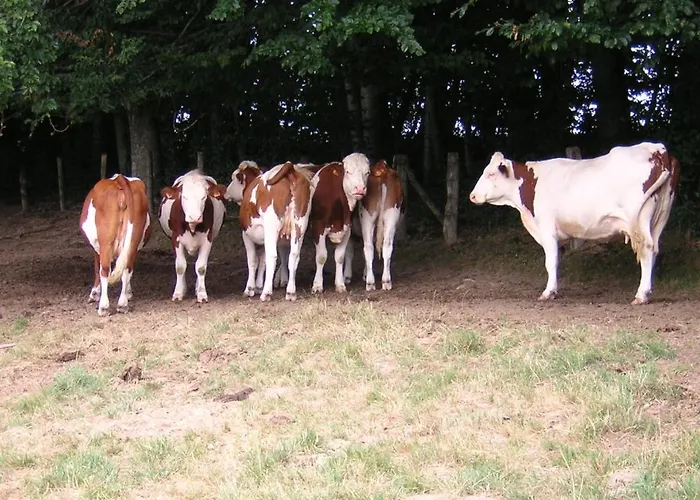Les Hirondelles Plombières-les-Bains