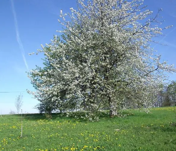Prázdninový dům Les Hirondelles *