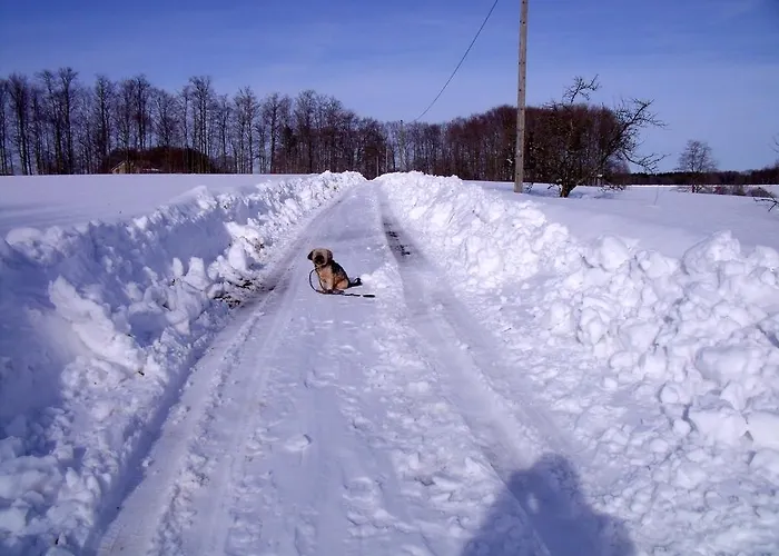 Les Hirondelles Prázdninový dům *