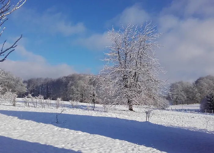 Les Hirondelles Prázdninový dům