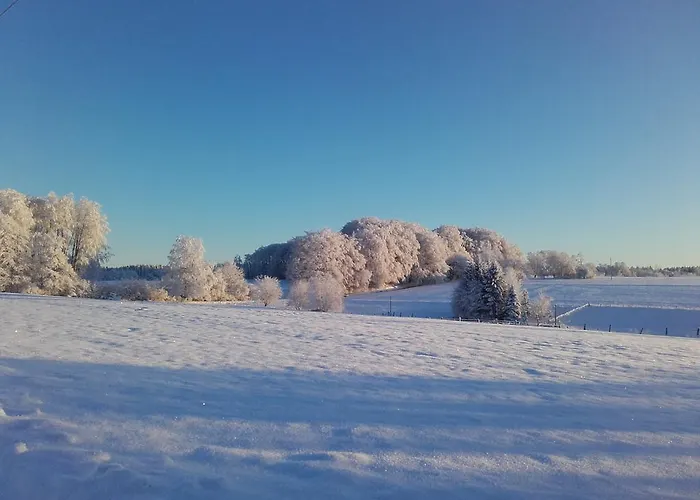 Les Hirondelles Plombières-les-Bains