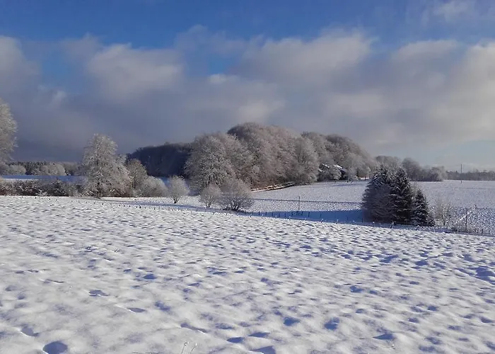 Les Hirondelles Plombières-les-Bains