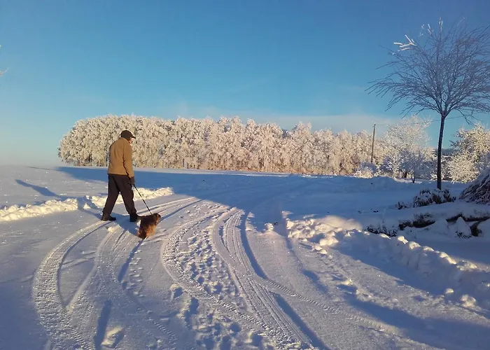 Prázdninový dům Les Hirondelles