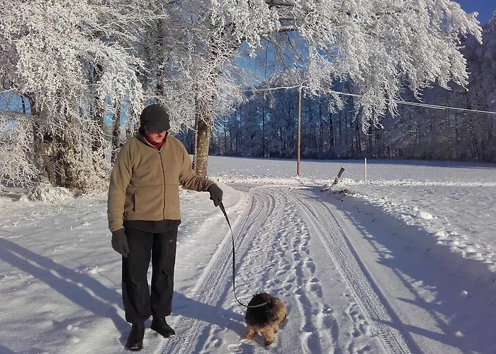 Prázdninový dům Les Hirondelles