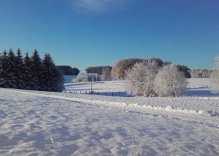 Prázdninový dům Les Hirondelles *